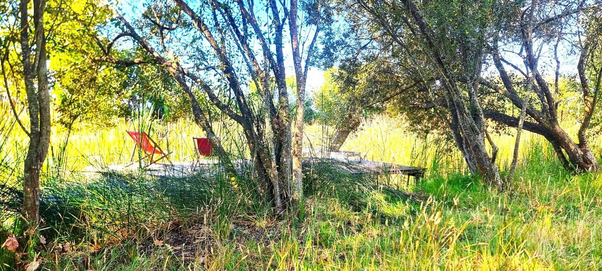 Herdade Moita Mar - Country & Sea Vila Nova de Milfontes Extérieur photo