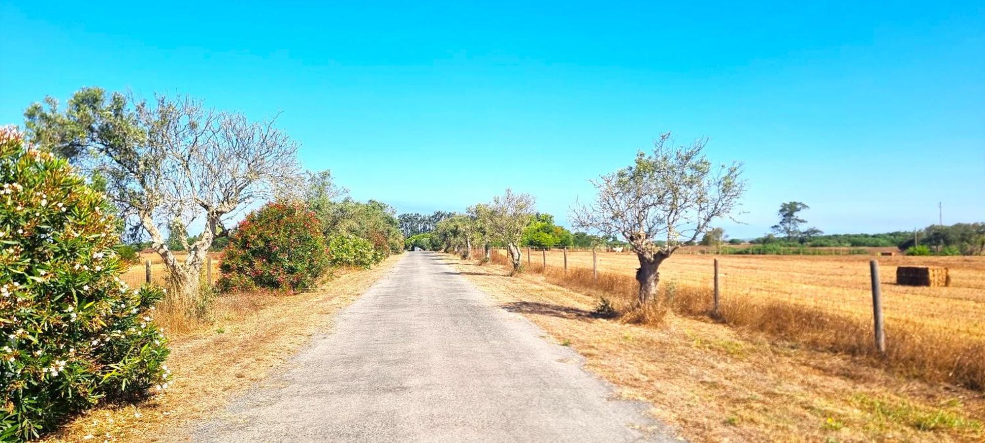 Herdade Moita Mar - Country & Sea Vila Nova de Milfontes Extérieur photo